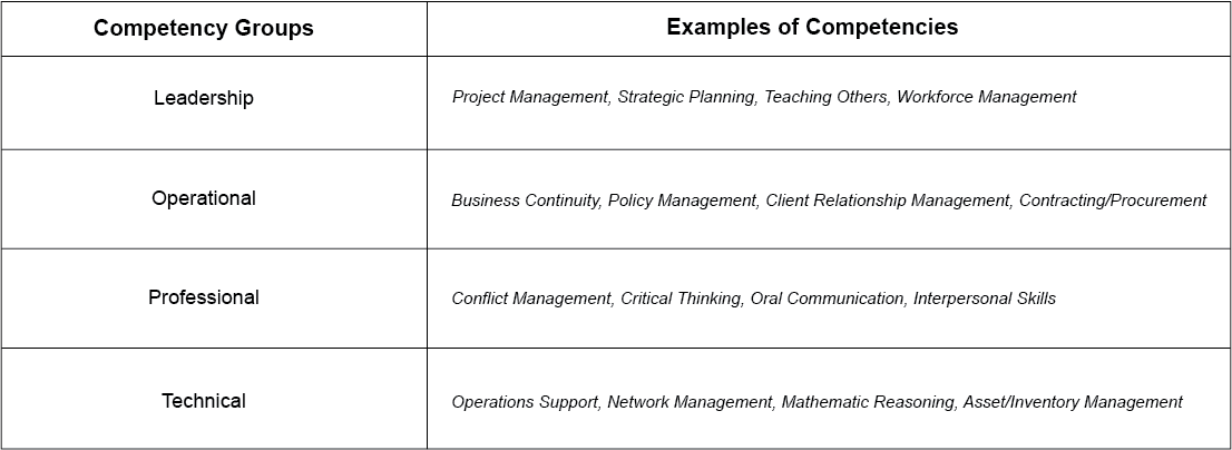 Core Competency groups of the NICE Framework and examples of their competencies displayed in a table view.